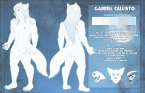 Reference Sheet - Gabriel