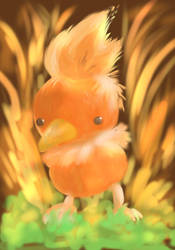 Torchic -Pokemon Ruby and Sapphire