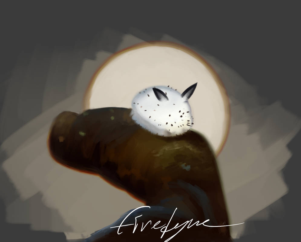 sea rabbit by firedyre on DeviantArt