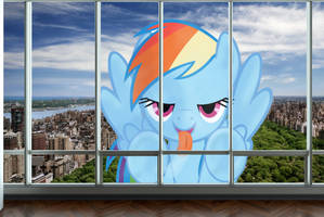 You Look Delicioussss - Giant Rainbow Dash in NYC