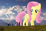 Taking in the View -Giant Fluttershy at Denali by FlutterbatIsMagic