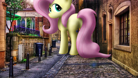 Follow Me - Giant Fluttershy