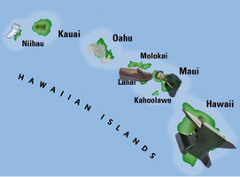 Hawaiian Islands and their Shapes