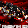 Shadow the  Hedgehog In Time