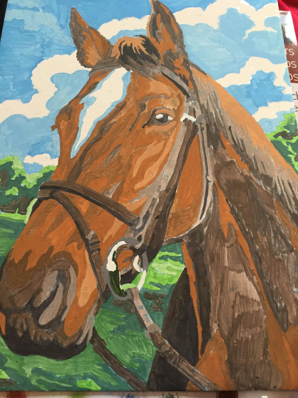 painting by numbers horse