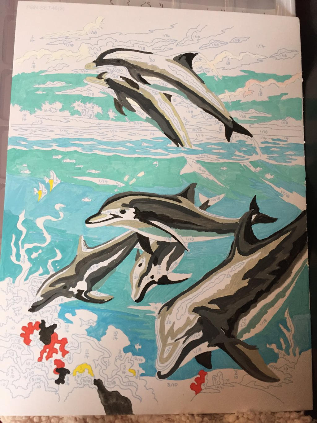 dolphin painting by numbers