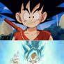 DBZ: Goku then and now