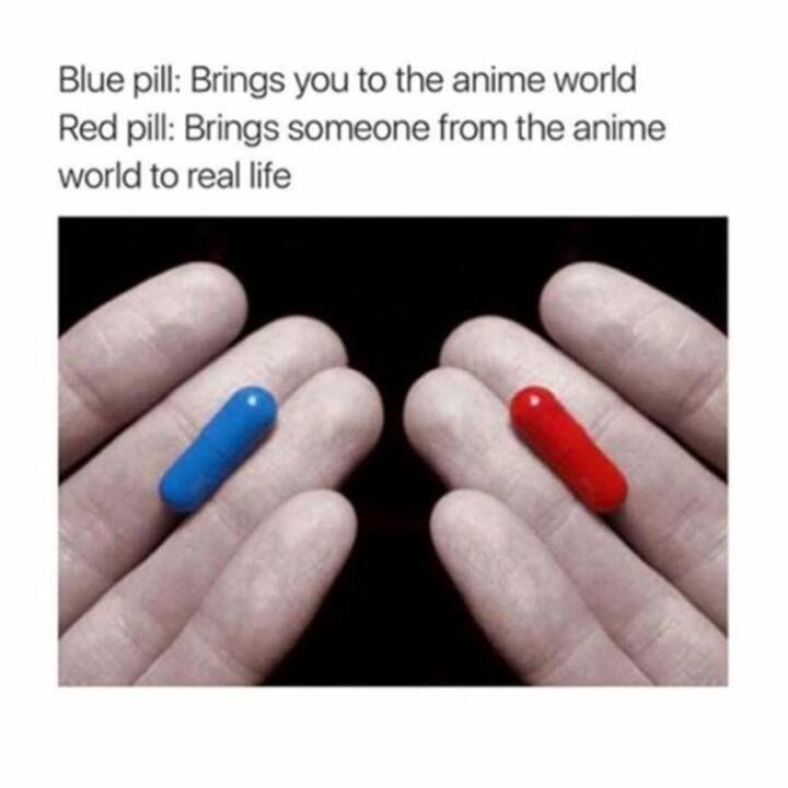 Red pill or blue pill meme template の ギ ャ ラ リ.