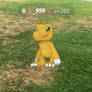 Pokemon GO: Meme #5: Wrong Game Agumon