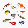Salamanders and Newts sticker pack
