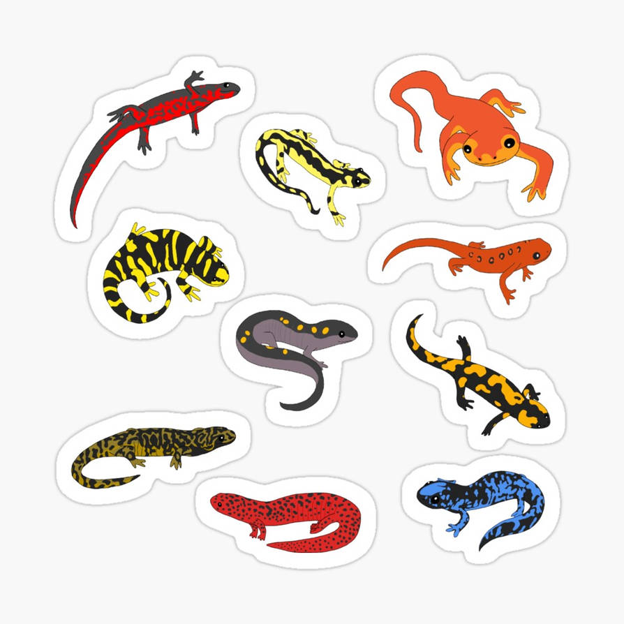 Send Newts Sticker Salamanders and Newts sticker pack by Leapingdoeartist on DeviantArt