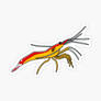 Cleaner Shrimp sticker