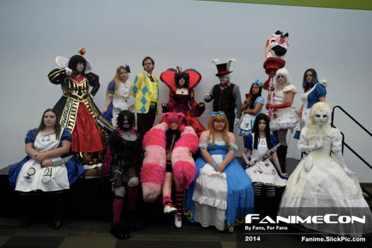 Fanime Wonderland Gathering 2014