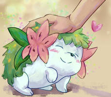 Pokemon: Pet Pet Shaymin