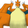 Macro Charizard Y