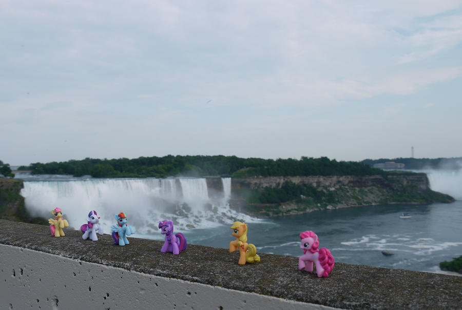 Ponies at Niagara Falls