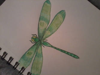 Dragonfly