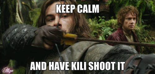 keep calm and have Kili shoot it