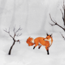 winterfox