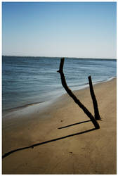 beach sculpture