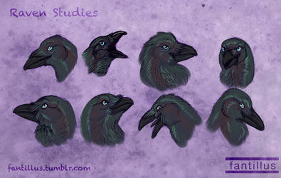 Raven Studies