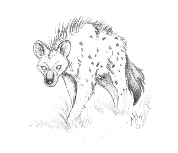 10. Hyena