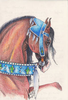 Arabian in Mideaval Costume by Christine Rietsch