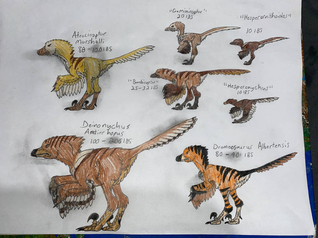 Best Rapter Earth Top Raptors in history ! by DemitriustheWolf999 on DeviantArt