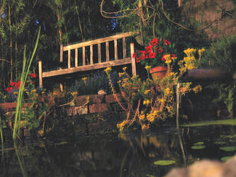 Bench at night