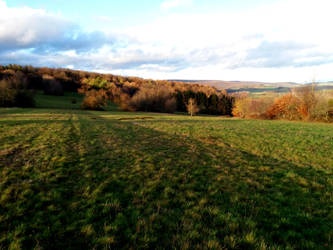 Field in the winter sun