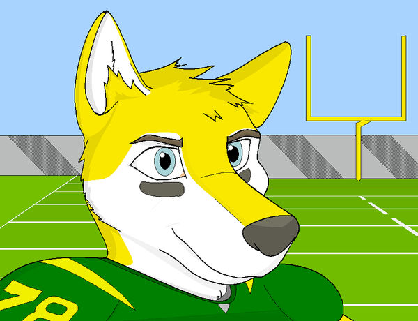 Football team photo by QuixoticMutt on DeviantArt