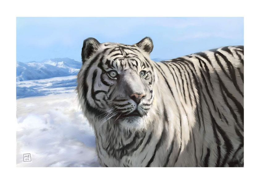 White Tiger by brooksart