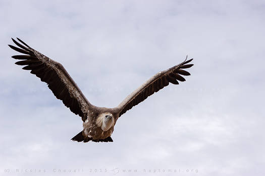 Eyrwji5r2okutm Eyrwji5r2okutm