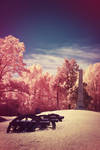 Vicksburg in Infrared by Andross01
