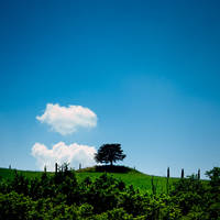 Hilltop in Tuscany