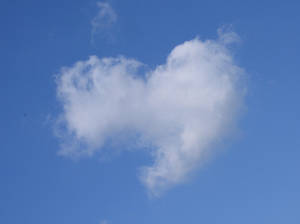 Heart Cloud