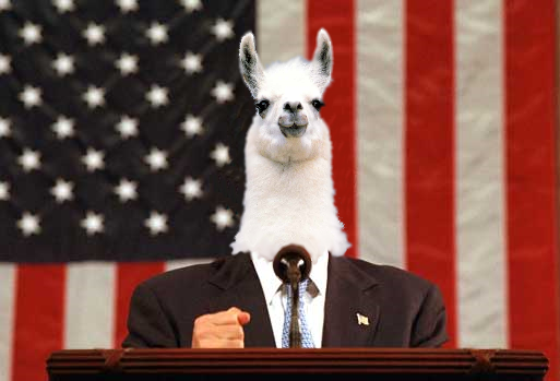 Llama for President