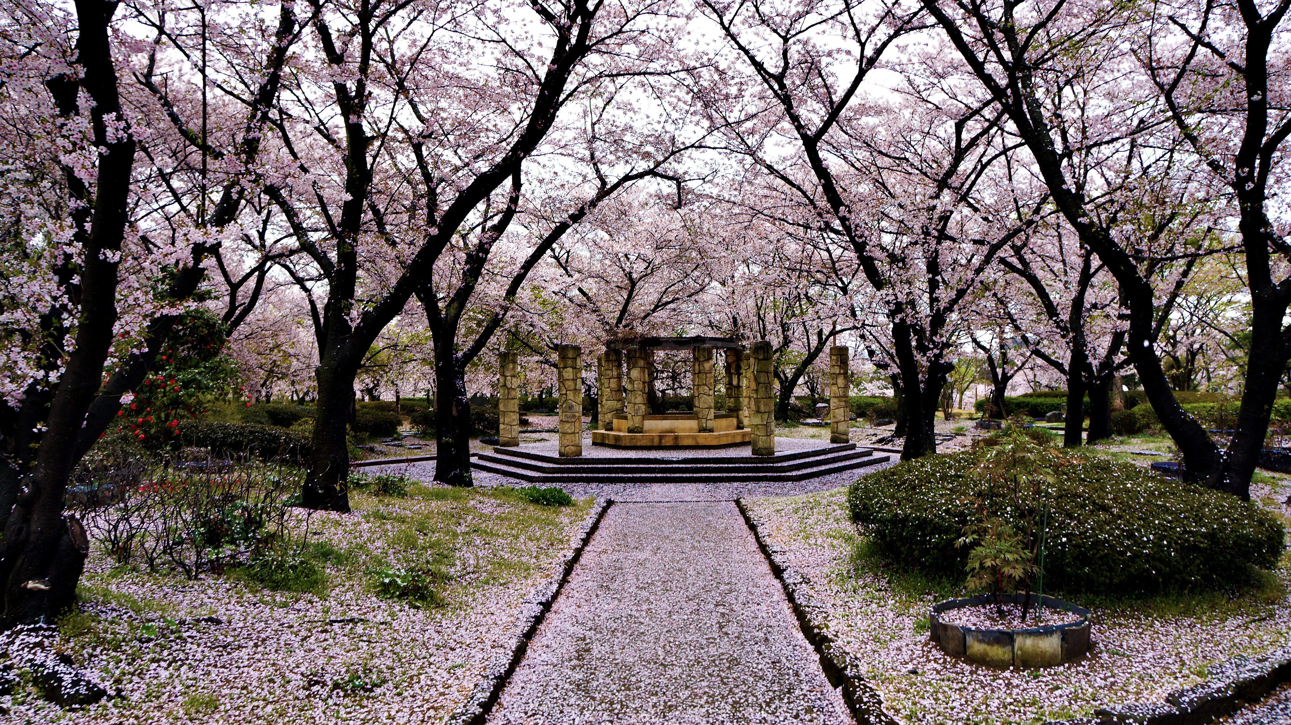 Sakura Park