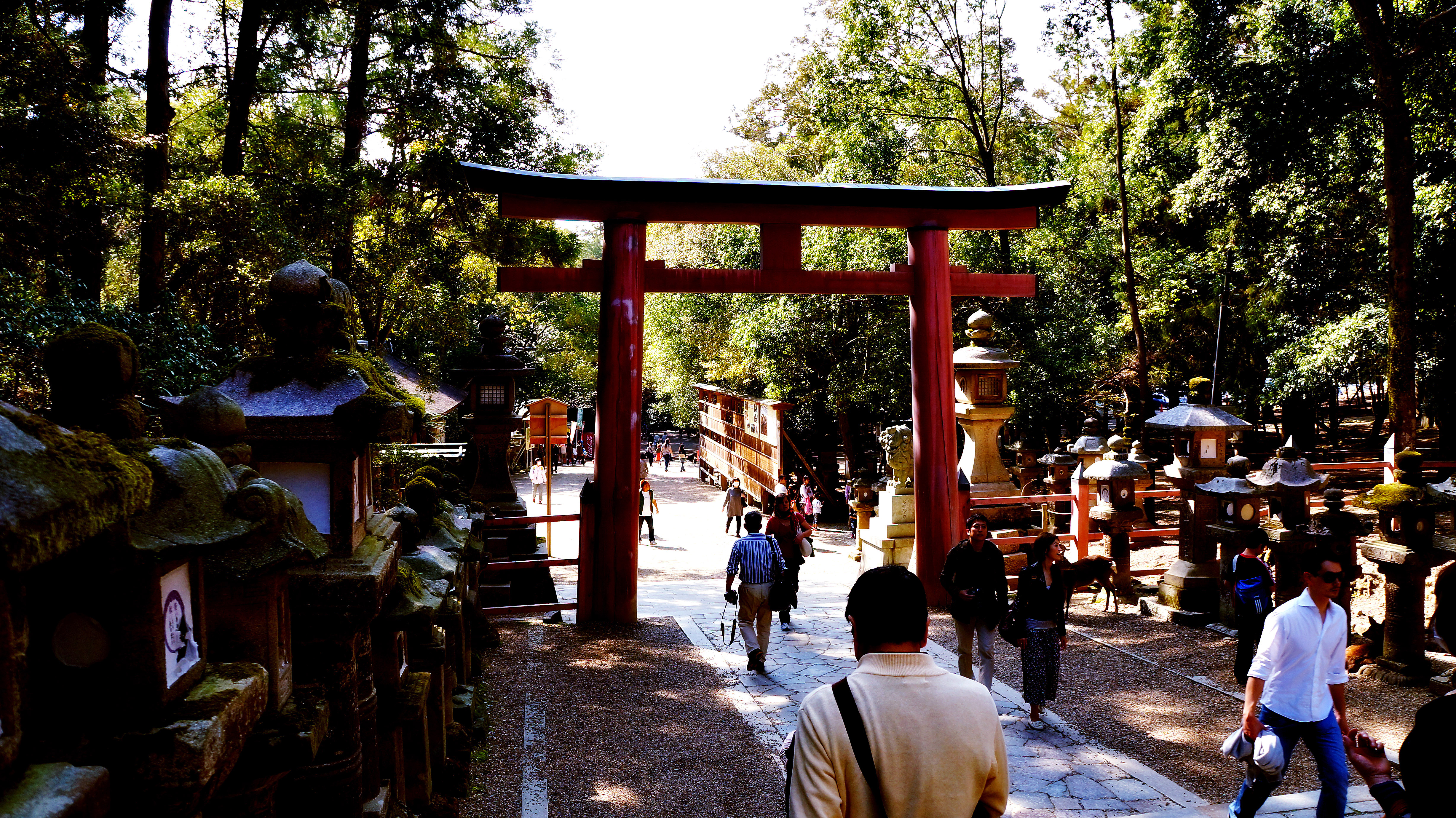 Kasuga-taisha Torii