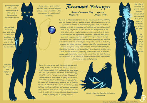 Reven Reference