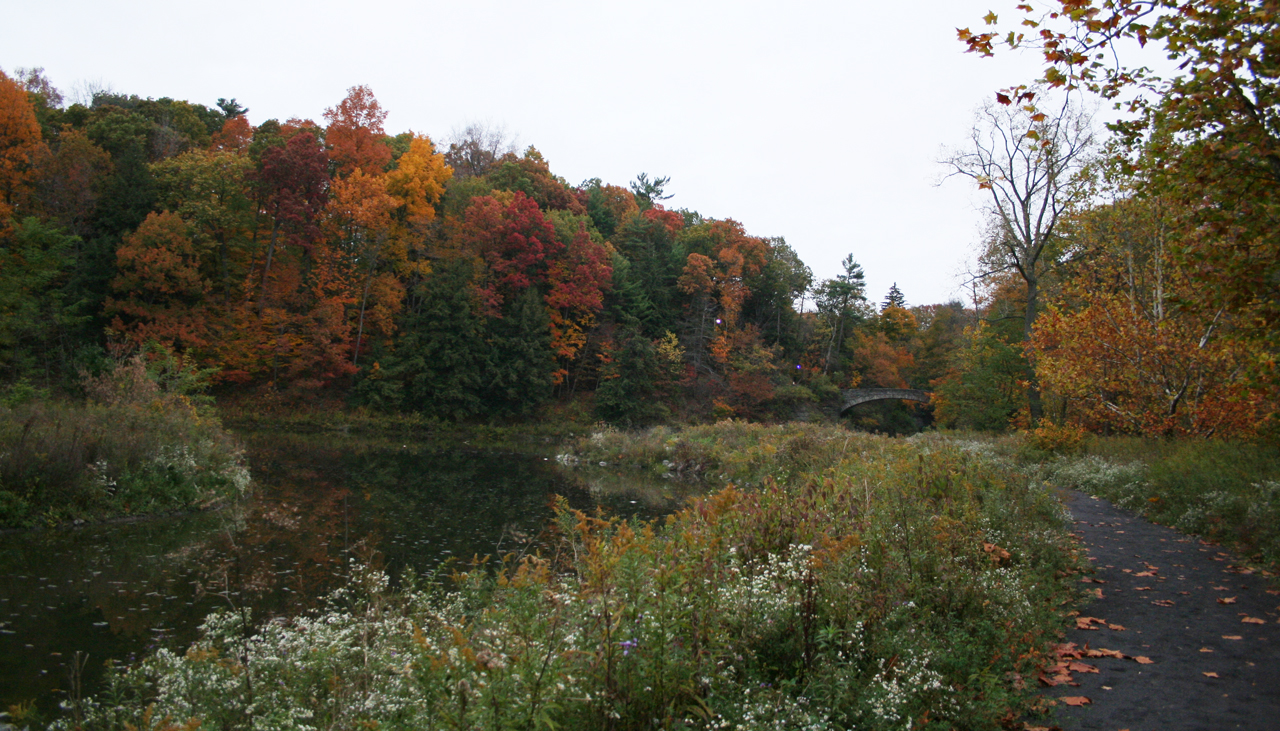 Lake Colors