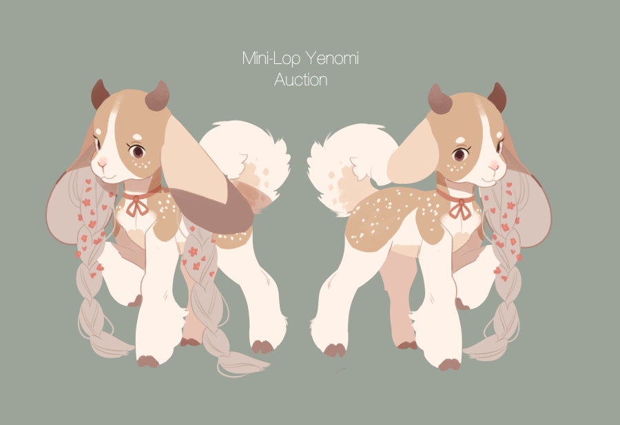 [YENOMI] Mini-Lop Auction - Closed