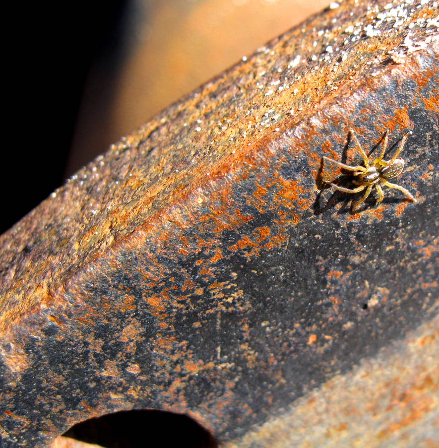 Rusty spider by Storminka on DeviantArt
