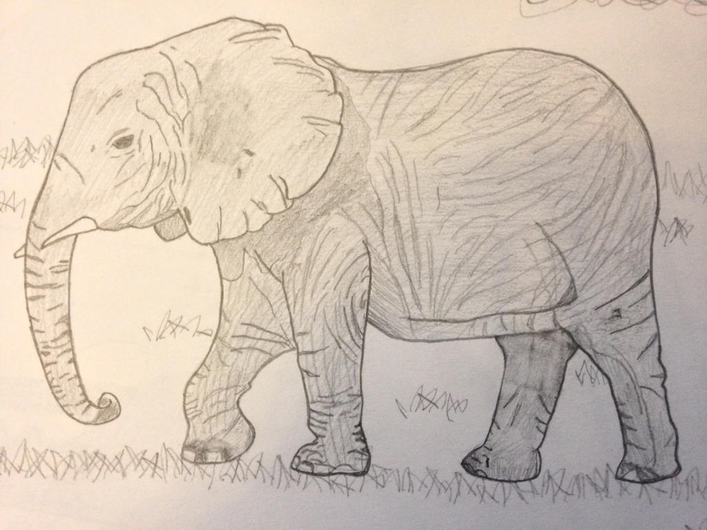 Elephant Pencil Sketch By Bambishim On Deviantart