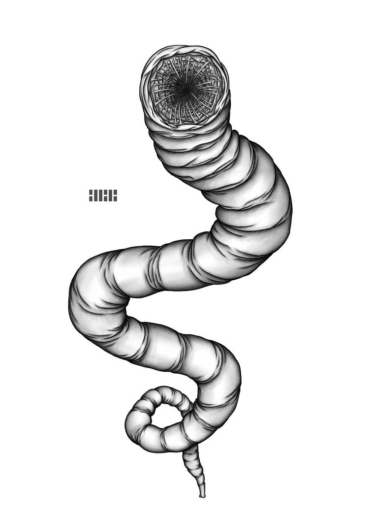 Sandworm by illili0 on DeviantArt