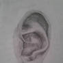 Ear