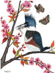 Kingfisher and cherry blossoms by taylorXcreative