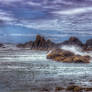 Seal Rock Oregon #2