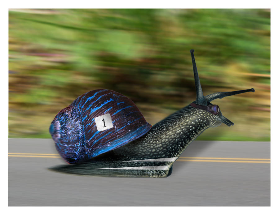 Slow Snail Racer The Racing Snail by Sarahorsomeone on DeviantArt