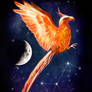 The Pheonix and The Moon